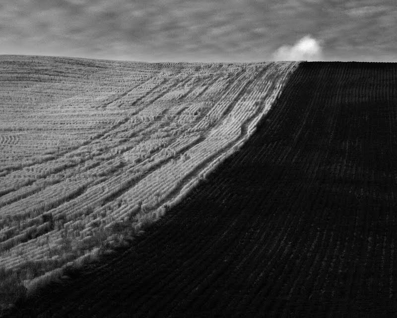 if365_fields_waterville_2007