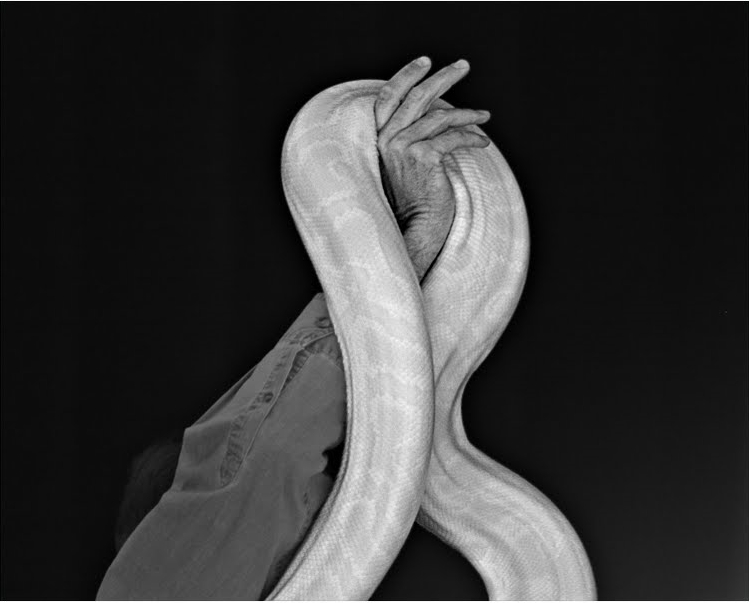 if365_snakehandler-2_leav_2007