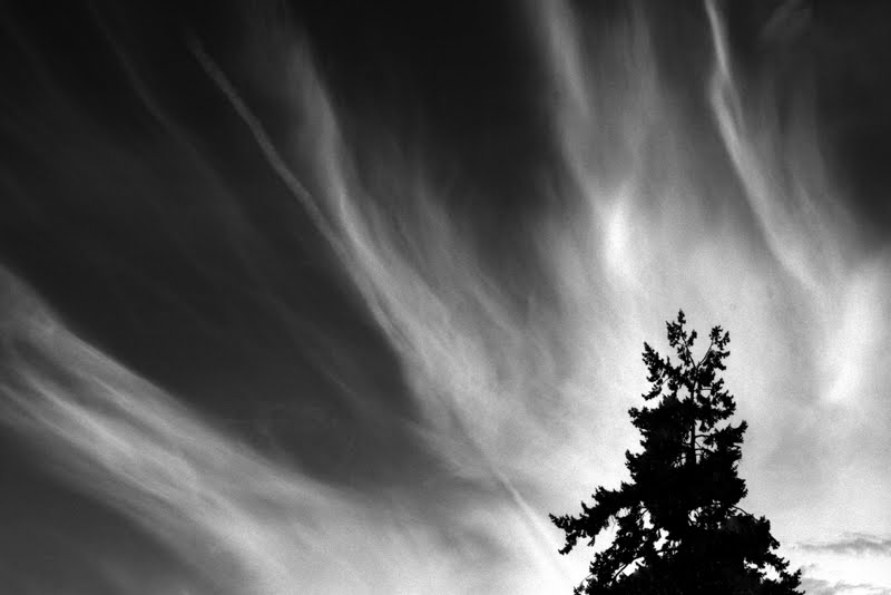 if365_spikeclouds_twisp_2007