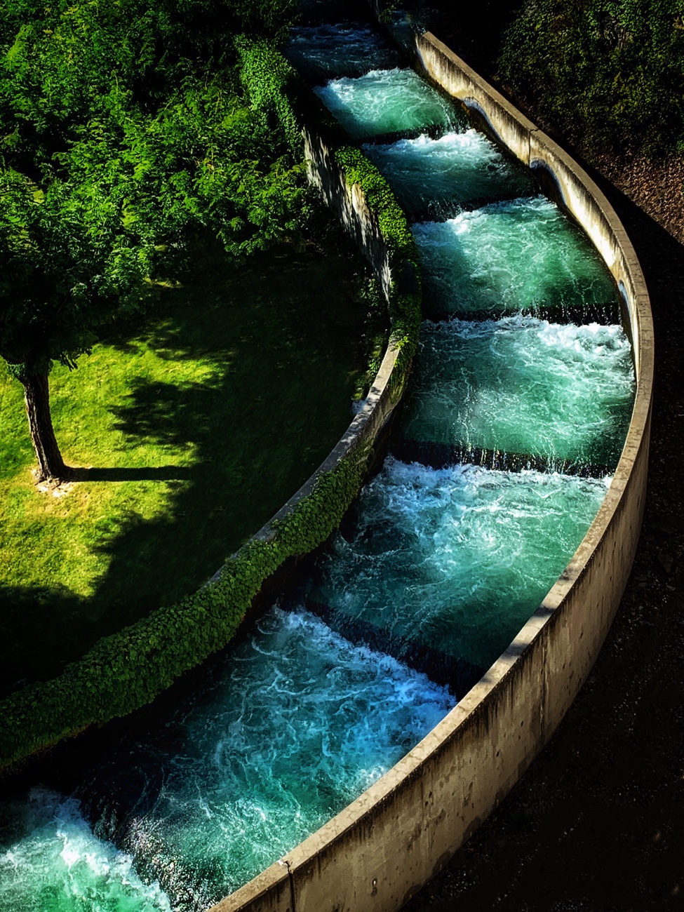 Fish Ladder – IrwinFoto